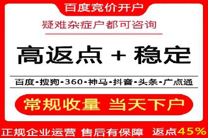 百度SEO推广公司案例精选：助力企业快速崛起